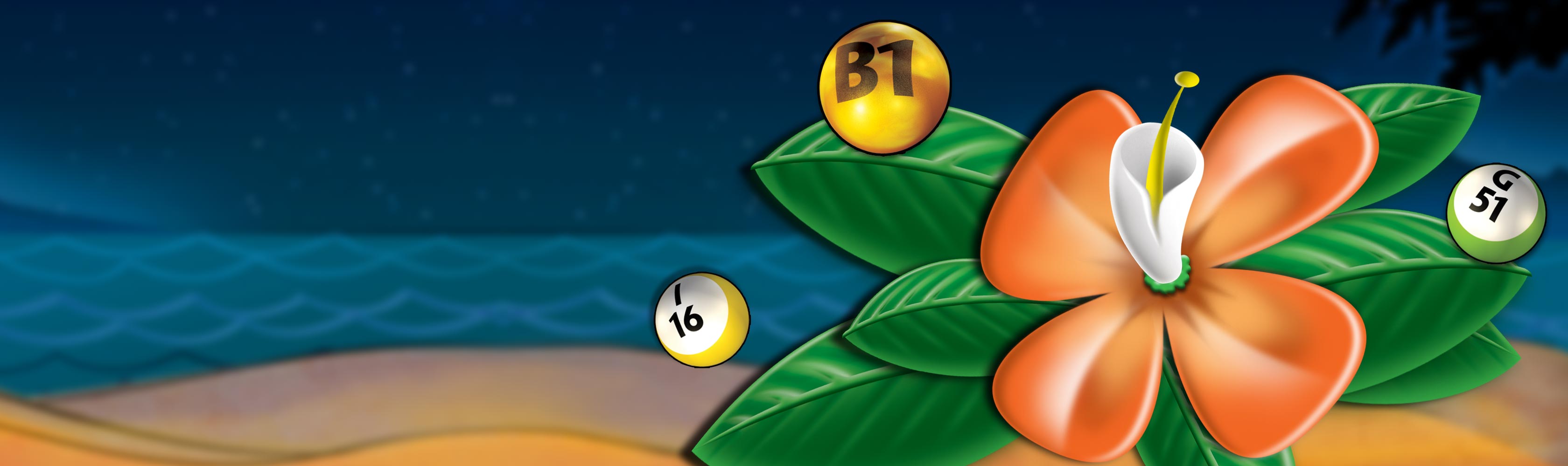 Bingo Luau  Free Online Bingo Game  Pogo